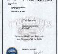 Safety Inspection Certificate