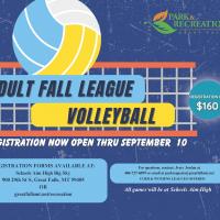 Fall Volleyball League Ad Flyer