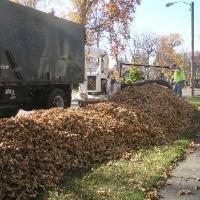 City crew using leaf removal equipment picking up leaves on City Boulevard 