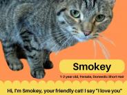 Smokey Poster