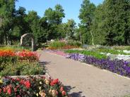 Gibson Park Flower Arch