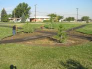Before Picture: Tree Planting