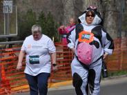 Two runners are shown, one of which is in a cow costume