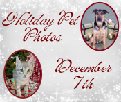 Holiday Pet Photos December 7th