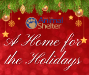 A Home for the Holidays November 25-December 31