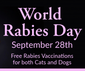 World Rabies Day at the GFAS FREE Rabie's Vaccination 