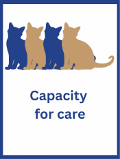 Capacity for care