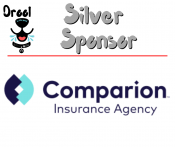 Silver Sponsor Comparion Insurance