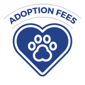 Adoption Fees