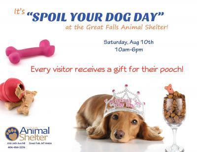 national spoil your day spoil your day city of great falls montana national spoil your day spoil your day city of great falls montana