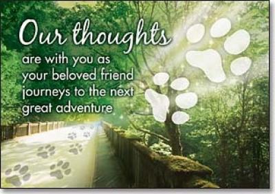Pet Loss Sympathy Image -- "Our thoughts are with you as your beloved friend journeys to the next great adventure"
