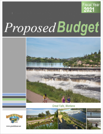 2021 Proposed Budget Cover