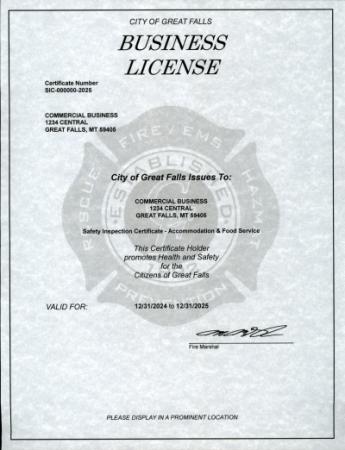 Business LIcense City of Great Falls