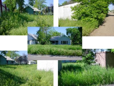 Nuisance Weeds/Grass Program