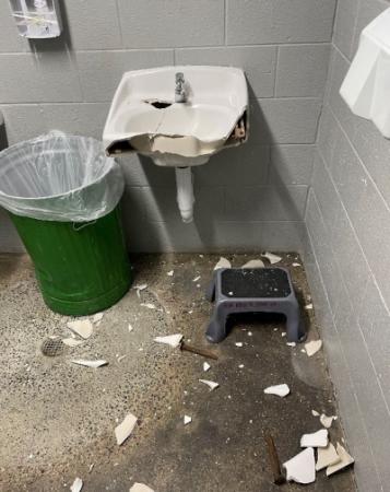 Park Bathroom Vandalism 