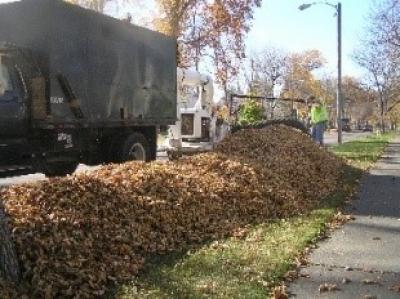 Forestry Crew using Leaf Pick-Up Equipment to vacuum up leaves from Boulevard 