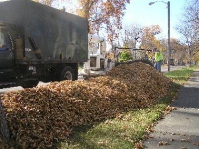 City crew using leaf removal equipment picking up leaves on City Boulevard 
