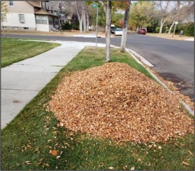 A leaf pile shown on a patch of boulevard grass