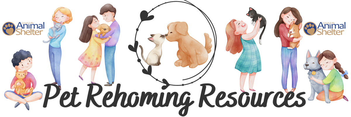 Pet Rehoming Resources Header