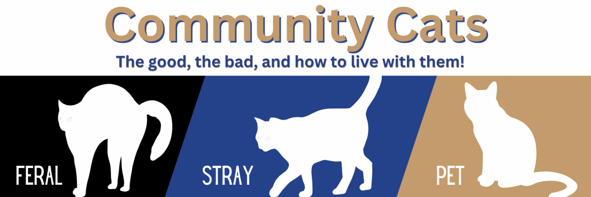 Community Cats - The good, the bad, and how to live with them!