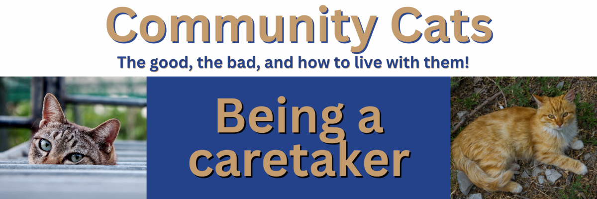 Being a caretaker