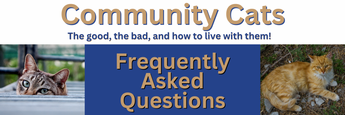 Community Cats Frequently Asked Questions