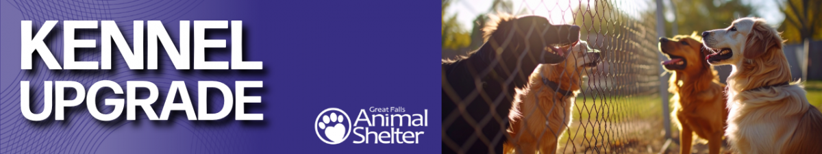 GFAS Kennel UPGRADES GFAS Kennel UPGRADES