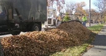 City crew using leaf removal equipment picking up leaves on City Boulevard  City crew using leaf removal equipment picking up leaves on City Boulevard